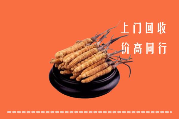 高价求购：恩施利川市回收散虫草