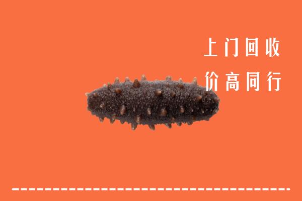 高价求购：恩施利川市回收海参