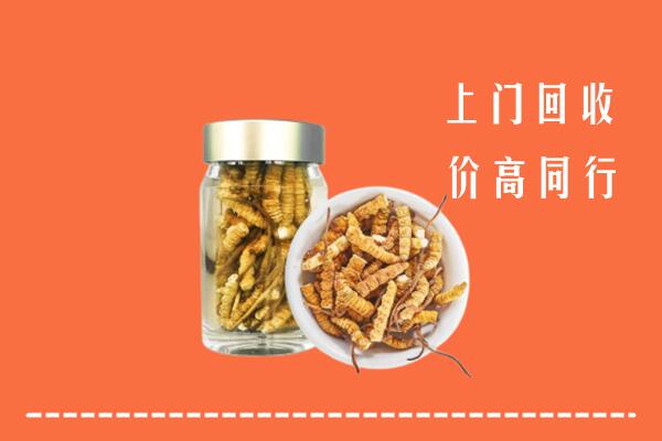恩施利川市回收冬虫夏草