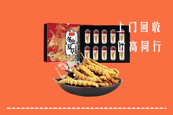 恩施利川市回收虫草